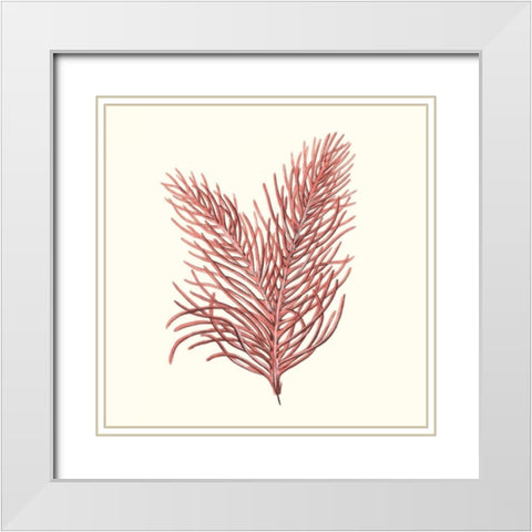 Seaweed Collection II White Modern Wood Framed Art Print with Double Matting by Vision Studio