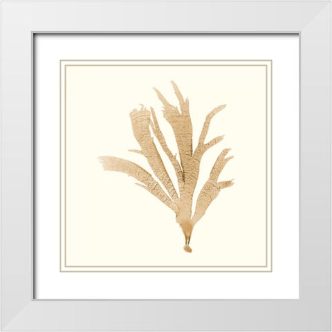 Seaweed Collection IV White Modern Wood Framed Art Print with Double Matting by Vision Studio