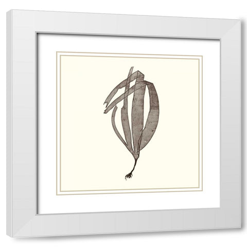 Seaweed Collection V White Modern Wood Framed Art Print with Double Matting by Vision Studio