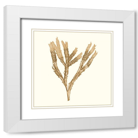 Seaweed Collection VIII White Modern Wood Framed Art Print with Double Matting by Vision Studio