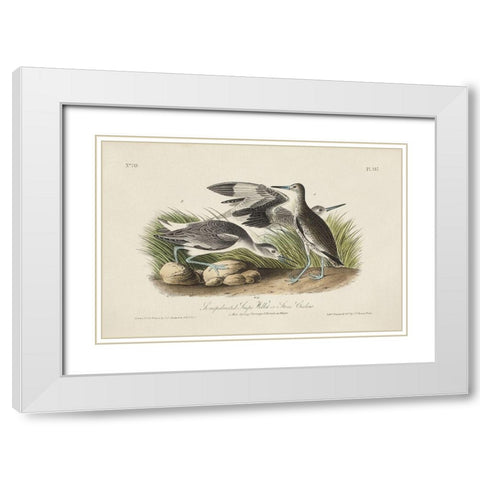 Stone Curlew (ASH) White Modern Wood Framed Art Print with Double Matting by Audubon, John James