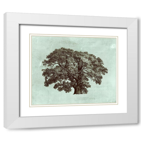 Custom Spa Tree II (ASH) White Modern Wood Framed Art Print with Double Matting by Vision Studio