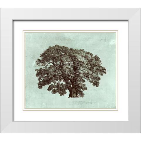 Custom Spa Tree II (ASH) White Modern Wood Framed Art Print with Double Matting by Vision Studio