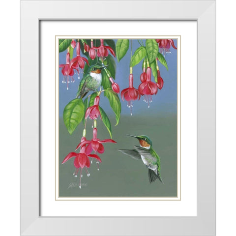 Hummers and Fuchsia White Modern Wood Framed Art Print with Double Matting by Szatkowski, Fred