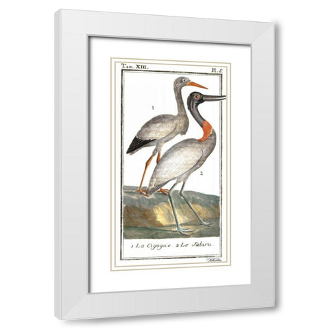 Buffon Cranes and Herons I White Modern Wood Framed Art Print with Double Matting by Buffon