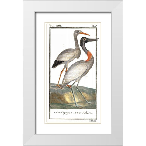 Buffon Cranes and Herons I White Modern Wood Framed Art Print with Double Matting by Buffon