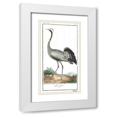 Buffon Cranes and Herons IV White Modern Wood Framed Art Print with Double Matting by Buffon