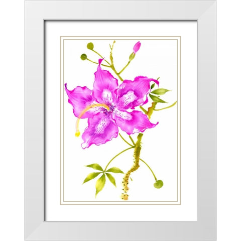 Hibiscus Flower I White Modern Wood Framed Art Print with Double Matting by Rae, Nan