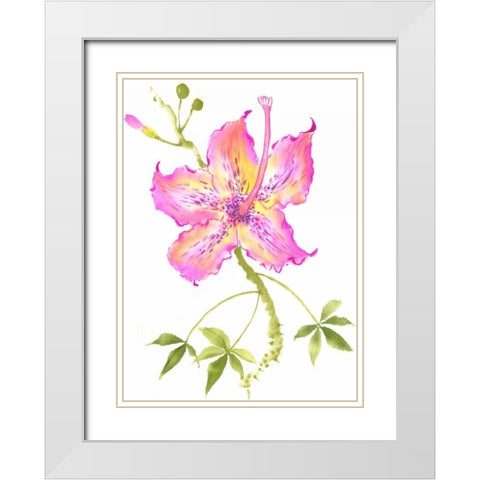 Hibiscus Flower IV White Modern Wood Framed Art Print with Double Matting by Rae, Nan