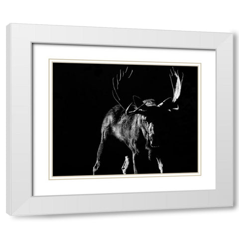 Bullish White Modern Wood Framed Art Print with Double Matting by Chapman, Julie