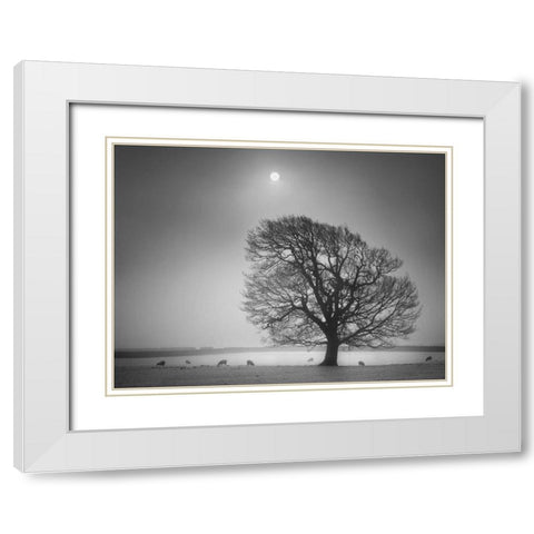 Evening Light II White Modern Wood Framed Art Print with Double Matting by Henson, Martin