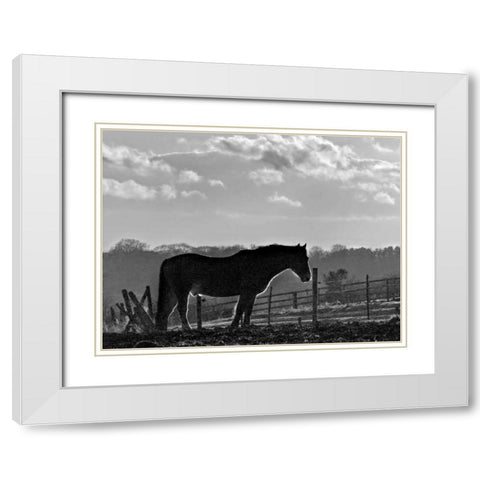 Evening Light III White Modern Wood Framed Art Print with Double Matting by Henson, Martin