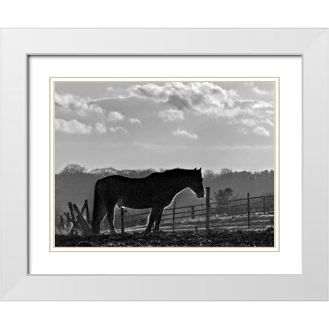 Evening Light III White Modern Wood Framed Art Print with Double Matting by Henson, Martin