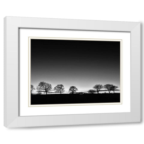 Treeline Light White Modern Wood Framed Art Print with Double Matting by Henson, Martin