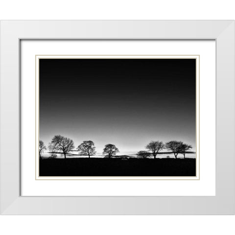 Treeline Light White Modern Wood Framed Art Print with Double Matting by Henson, Martin