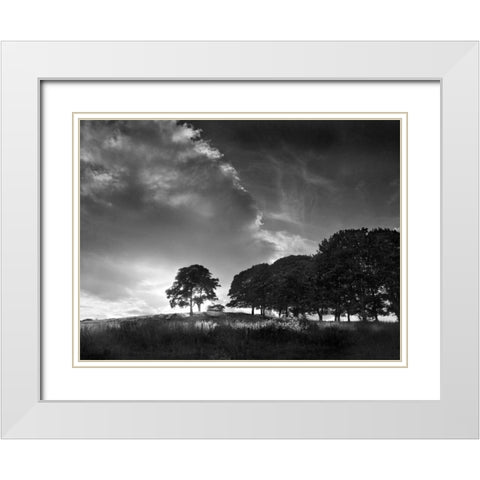 Touched by Sunlight White Modern Wood Framed Art Print with Double Matting by Henson, Martin