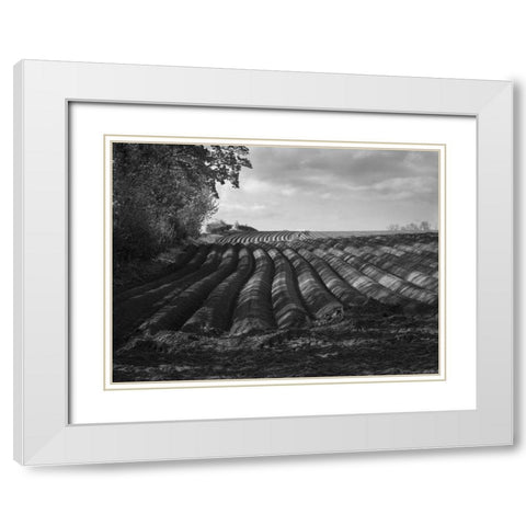 Furrows White Modern Wood Framed Art Print with Double Matting by Henson, Martin