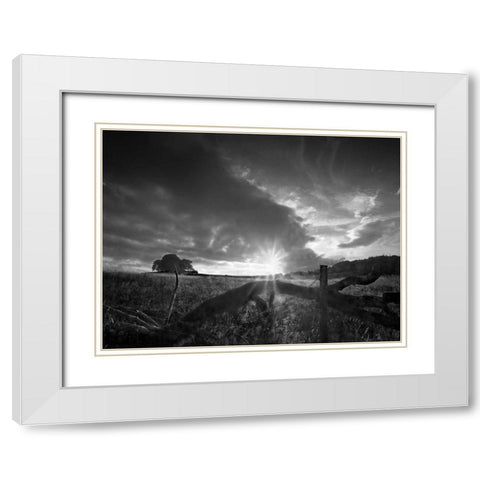 Fallen Tree White Modern Wood Framed Art Print with Double Matting by Henson, Martin