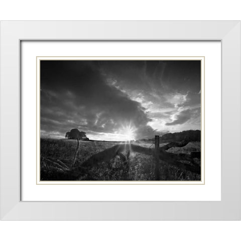 Fallen Tree White Modern Wood Framed Art Print with Double Matting by Henson, Martin