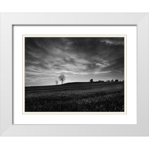 Black and White Sunset White Modern Wood Framed Art Print with Double Matting by Henson, Martin