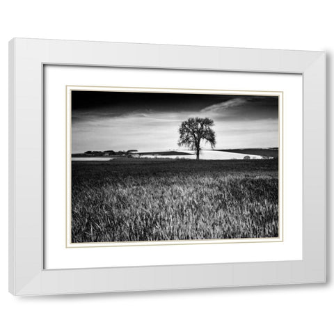 Field Texture White Modern Wood Framed Art Print with Double Matting by Henson, Martin