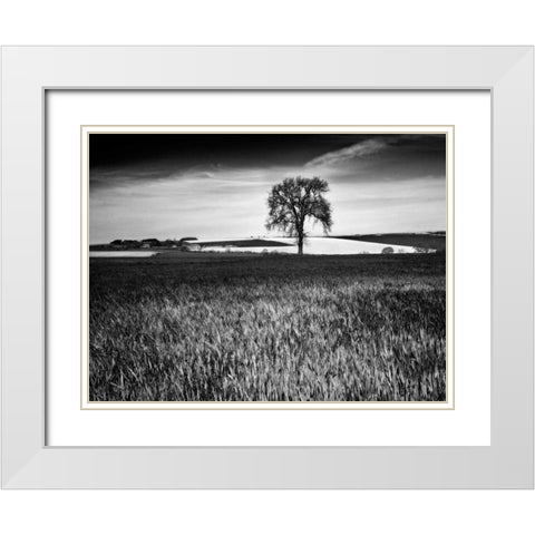 Field Texture White Modern Wood Framed Art Print with Double Matting by Henson, Martin