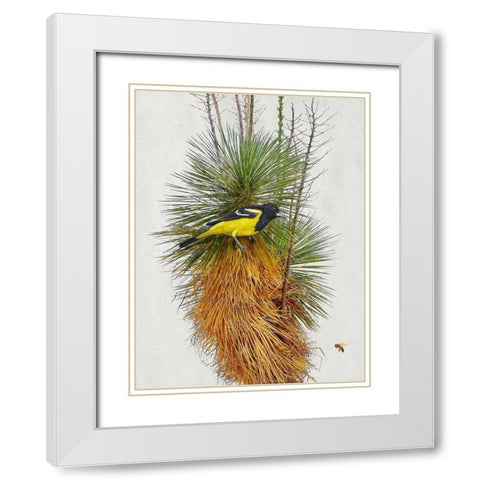 Avian Tropics II White Modern Wood Framed Art Print with Double Matting by Vest, Chris
