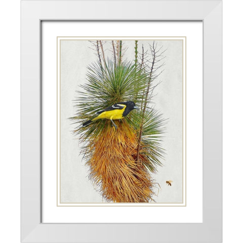Avian Tropics II White Modern Wood Framed Art Print with Double Matting by Vest, Chris