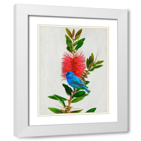 Avian Tropics III White Modern Wood Framed Art Print with Double Matting by Vest, Chris