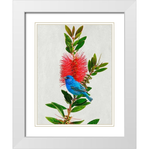 Avian Tropics III White Modern Wood Framed Art Print with Double Matting by Vest, Chris
