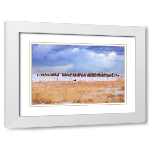 Zippy and the Elk White Modern Wood Framed Art Print with Double Matting by Vest, Chris