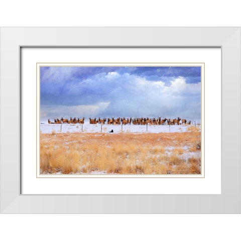 Zippy and the Elk White Modern Wood Framed Art Print with Double Matting by Vest, Chris