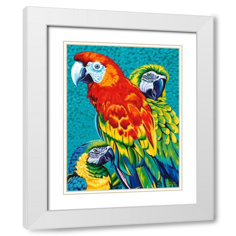 Birds in Paradise III White Modern Wood Framed Art Print with Double Matting by Vitaletti, Carolee