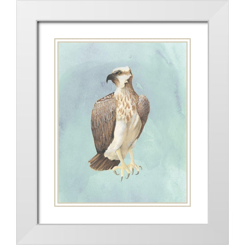 Watercolor Beach Bird IV White Modern Wood Framed Art Print with Double Matting by Popp, Grace