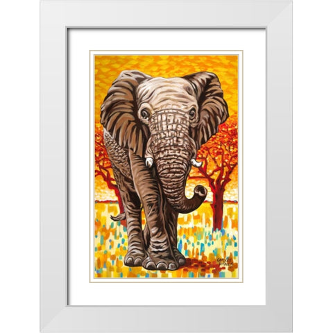 Wild Africa I White Modern Wood Framed Art Print with Double Matting by Vitaletti, Carolee