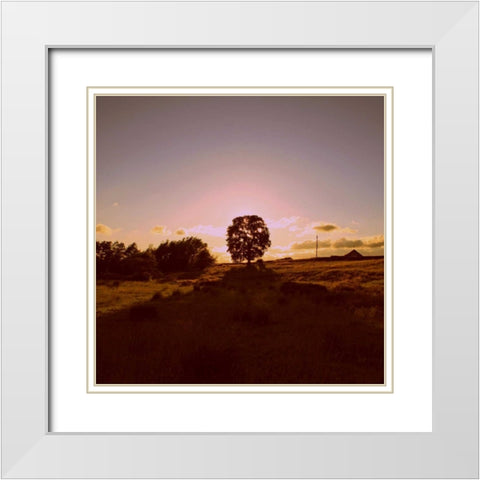 Sunset Field II White Modern Wood Framed Art Print with Double Matting by Bell, Lillian