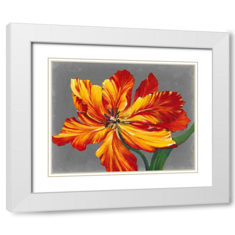 Tulip Portrait I White Modern Wood Framed Art Print with Double Matting by OToole, Tim