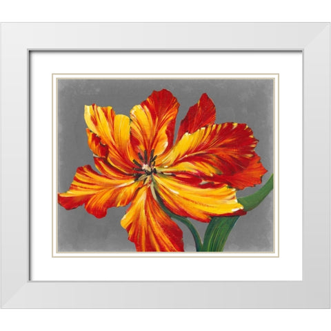 Tulip Portrait I White Modern Wood Framed Art Print with Double Matting by OToole, Tim
