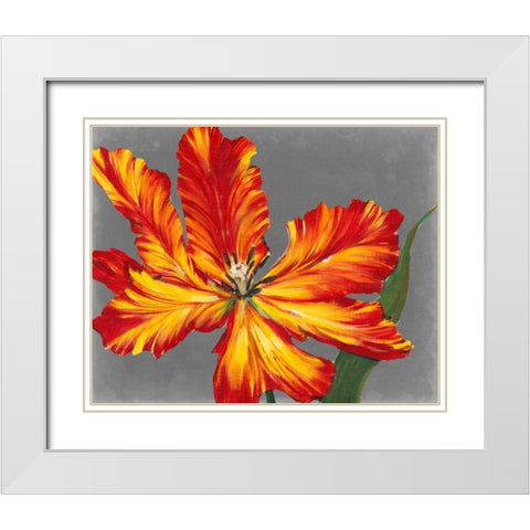 Tulip Portrait II White Modern Wood Framed Art Print with Double Matting by OToole, Tim