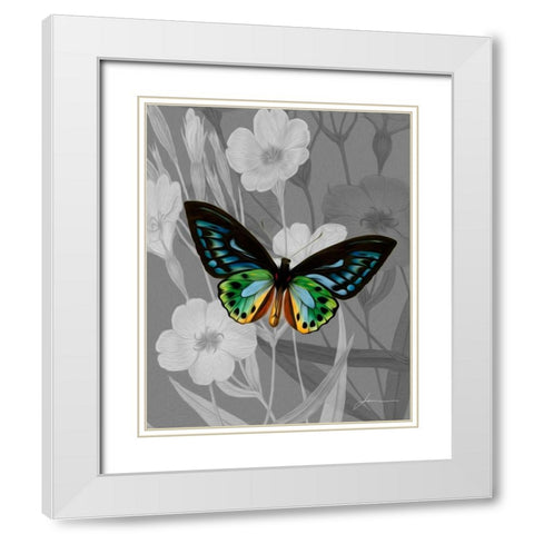 On Display I White Modern Wood Framed Art Print with Double Matting by Burghardt, James