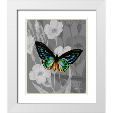 On Display I White Modern Wood Framed Art Print with Double Matting by Burghardt, James