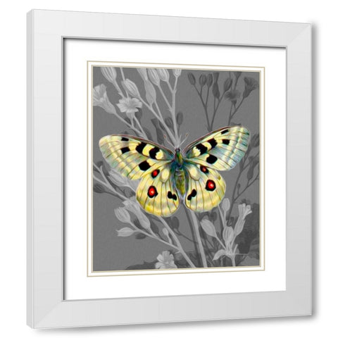 On Display II White Modern Wood Framed Art Print with Double Matting by Burghardt, James