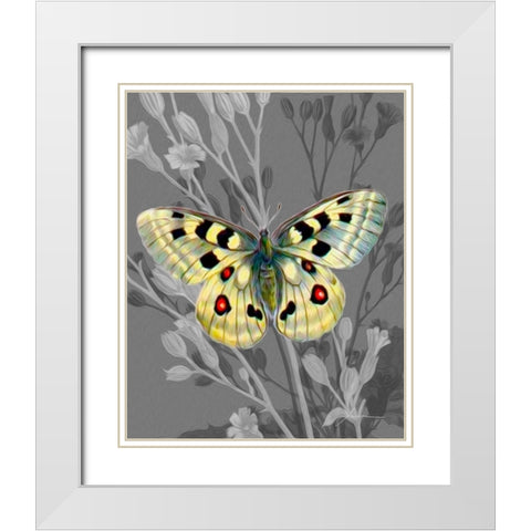On Display II White Modern Wood Framed Art Print with Double Matting by Burghardt, James