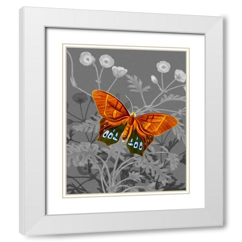 On Display III White Modern Wood Framed Art Print with Double Matting by Burghardt, James