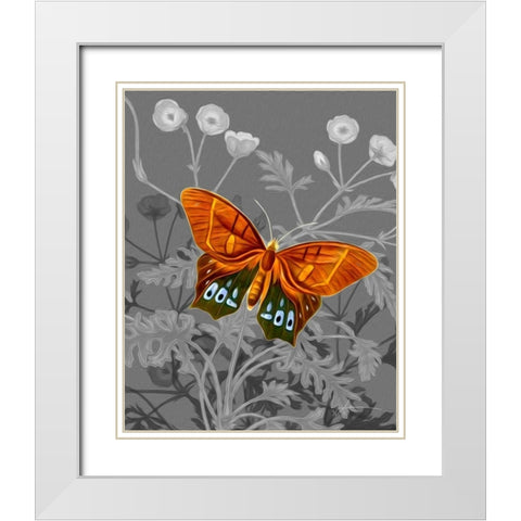 On Display III White Modern Wood Framed Art Print with Double Matting by Burghardt, James