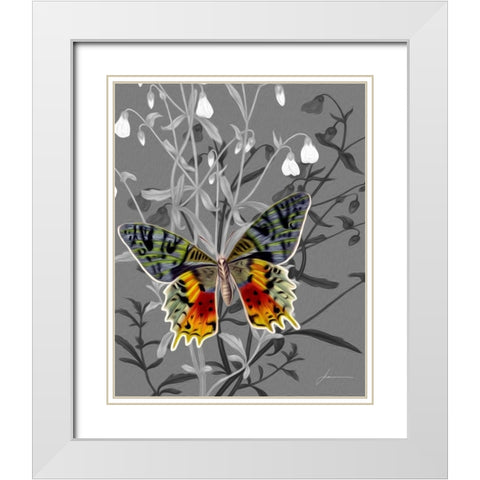 On Display IV White Modern Wood Framed Art Print with Double Matting by Burghardt, James