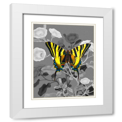 On Display V White Modern Wood Framed Art Print with Double Matting by Burghardt, James