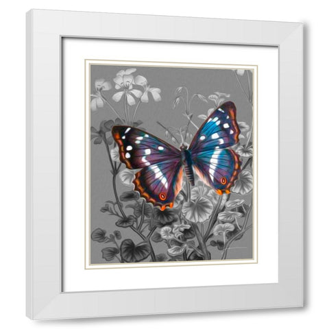 On Display VI White Modern Wood Framed Art Print with Double Matting by Burghardt, James