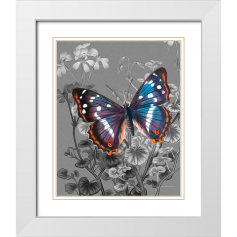 On Display VI White Modern Wood Framed Art Print with Double Matting by Burghardt, James