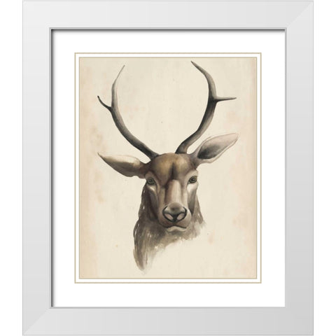 Watercolor Animal Study I White Modern Wood Framed Art Print with Double Matting by Popp, Grace